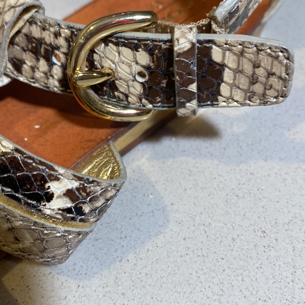 COACH SNAKE SKIN SANDLES - Picture 5 of 6